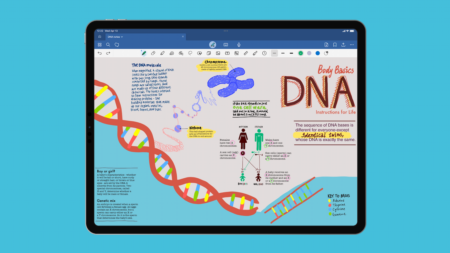 A screenshot of Goodnotes on iPad, showing an hand-drawn chart titled "DNA" that includes a double-helix graphic, notes, and additional small illustrations.
