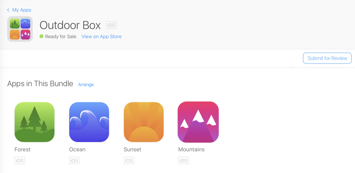 Screenshot of the top right of the App Bundle page, where there’s a Submit for Review button.